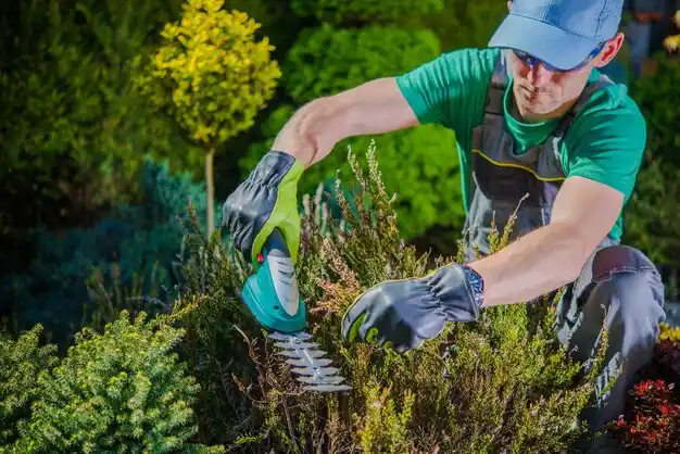 landscaping services Starkville